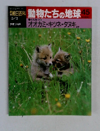 朝日百科動物たちの地球　45　オオカミ・キツネ・タヌキ