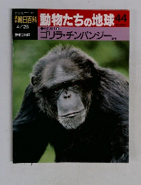 動物たちの地球 44