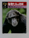 動物たちの地球 44