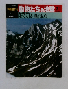 朝日百科動物たちの地球　71