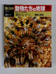 朝日百科　動物たちの地球　36　親から子へ 遺伝と発生