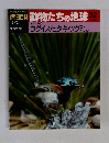 朝日百科 動物たちの地球 32
