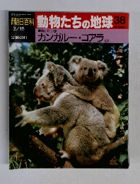 動物たちの地球 38