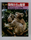 動物たちの地球 38