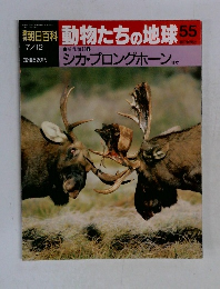 朝日百科 動物たちの地球 55  7/12　シカ・プロングホーン ほか