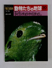 動物たちの地球 30