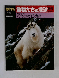 朝日百科動物たちの地球 56　バイソン・カモシカ・ヌー