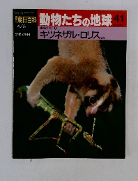 朝日百花 動物たちの地球 41