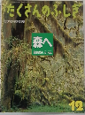 たくさんのふしぎ　1993年12月号