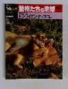 春朝日百科動物たちの地球49