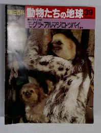 動物たちの地球 39
