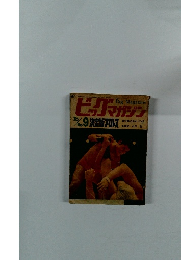 ビックマガジン