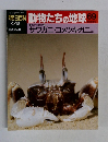 朝日百科動物たちの地球69　
