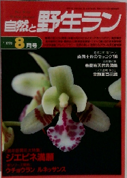 自然と野生ラン　1996年8月号