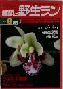自然と野生ラン　1996年8月号
