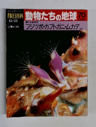 動物たちの地球 70