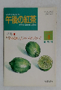 午後の紅茶　1993年4月号