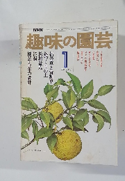 趣味の園芸　1月号