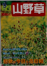 月刊趣味の山野草　2002年9月