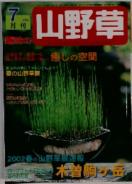 趣味の山野草　2002年7月号