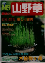 趣味の山野草　2002年7月号