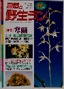 自然と野生ラン　11月号