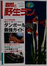 自然と野生ラン　1