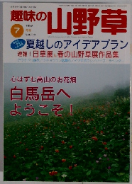 趣味の山野草　1999年7月号