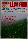 趣味の山野草　1999年7月号