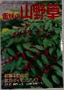 趣味の山野早　1992年10月号　No. 147