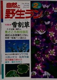 自然と野生ラン　2月号　特集　雪割草
