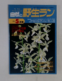 自然と野生ラン　1995年5月号