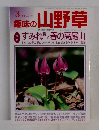 趣味の山野草　Vol. 236　2000年3月号