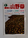 趣味の山野草　1月号
