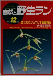 自然と野生ラン　1991年12月号