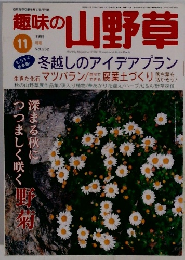 趣味の山野草　Vol.232　1999年11月号