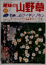 趣味の山野草　Vol.232　1999年11月号