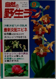 自然と野生ラン　9