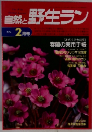 自然と野生ラン　1994年2月号
