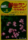 自然と野生ラン　1989年5月号