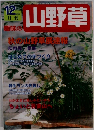 山野草　2002/12