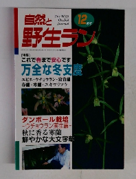 自然と野生ラン　2000年12月号