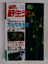 自然と野生ラン　2000年12月号