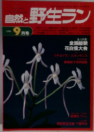 自然と野生ラン　1996/9