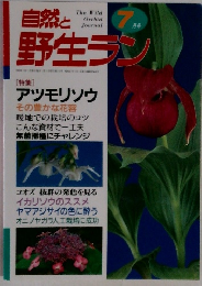 自然と野生ラン　7月号