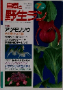 自然と野生ラン　7月号