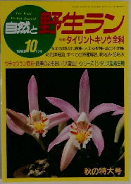 自然と野生ラン　1989/10