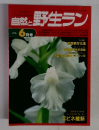 自然と野生ラン　1996年6月号