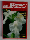自然と野生ラン　1996年6月号