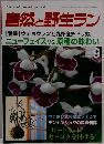 自然と野生ラン 2002年9月号